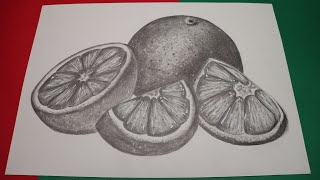 how to draw realistic orange fruit step by step [upl. by Nyrb759]