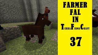 Farmer Fal in Terrafirmacraft  Episode 37  Miracle of Flight [upl. by Sholem]