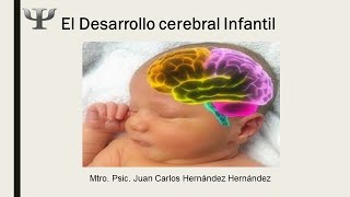 Clase 1 quotEl desarrollo cerebral infantilquot Parte 1 [upl. by Favianus]