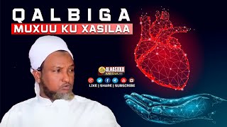 QALBIGA MUXUU UBAAHANYAHAY UU KU XASILAA ⁴ᴷ┇ Sh Xuseen Cali Jabuuti [upl. by Ennayhc25]