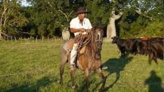 Horse Riding in Argentina [upl. by Nolla461]