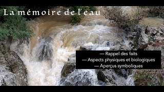 La Mémoire de lEau — Rappel des faits — Aspects physiques et biologiques — Aperçus symboliques [upl. by Nilhsa]