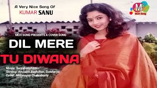 Dil Mere Tu Deewana Hai  Sooryavansham  Amitabh amp Rachana BanerjeeIshtar Music [upl. by Alamac]