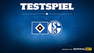 RELIVE Testspiel Hamburger SV vs FC Schalke 04 [upl. by Ciprian516]