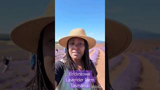 Tasmania  Bridestowe Lavender Farm [upl. by Squires]