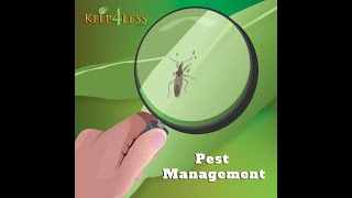 Kelp4less Podcast  Ep 44  Integrated Pest Management Continued [upl. by Eal]