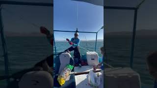 Sacando cabrillas para el caviche en bahía de San Luis Gonzaga [upl. by Eenaej]