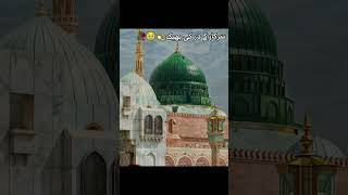 Madina ki bhek achi video love madi [upl. by Otreblig]