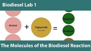 Lab 1 The Molecules of the Biodiesel Reaction [upl. by Clemmie]