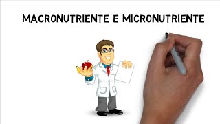 ✅Macronutriente e Micronutriente [upl. by Bonar]