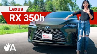 2023 Lexus RX 350h Review EFFICIENT AND PRACTICAL [upl. by Alie309]