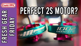 RcinPower 1002 19000kv  The Perfect 2s Whoop Motor  6Batteries  QampA [upl. by Annasor603]