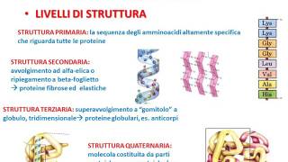 3 LE MACROMOLECOLE BIOLOGICHE [upl. by Leopoldine]