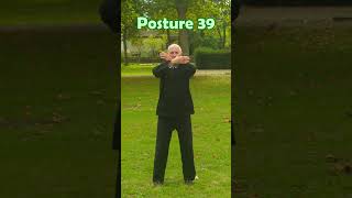 La forme de la Terre 39è posture nature martialarts taichichuan [upl. by Aday]