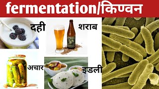 fermentation in hindiethanol and lactic acid and alcohol fermentationfermentation process [upl. by Stringer]