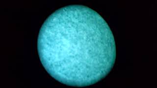 Photonis Echo PVS14 White Phosphor Night Vision [upl. by Onilecram]