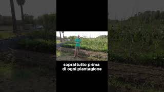 Perchè faccio la BAULATURA  GUARDA IL VIDEO COMPLETO shorts [upl. by Datnow110]