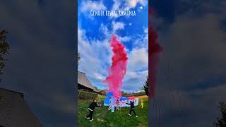 Gender Reveal România MariusXMelisa babygender fireworks babygenderreveal genderreveal [upl. by Ennayoj]