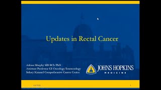 Updates in Rectal Cancer [upl. by Acsecnarf]