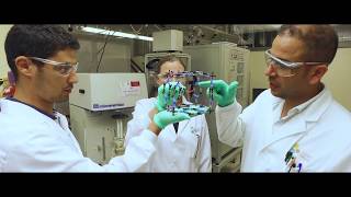 Why researchers scientists and students come to KAUST [upl. by Gio]