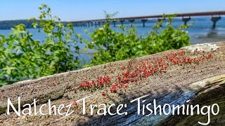 Natchez Trace Parkway Tishomingo [upl. by Sula144]