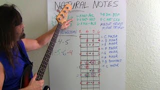 Bass Guitar For Beginners What Bassists Should Know [upl. by Juliet958]