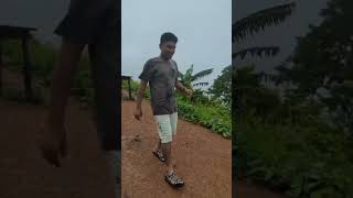 প্রাকৃতিক সুন্দর্যে ভরপুর travel trendingshorts viralshorts nature bandorban touristplace [upl. by Concettina]