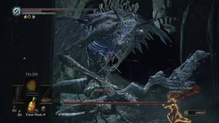 DARK SOULS™ III Im sorry Ocelotte [upl. by Tutto]