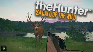 I Hunted Rancho Del Arroyo with the 3030 Lever Action [upl. by Yesoj299]