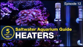 You don’t have to learn the hard way Heaters and Temperature Setup for a Reef Aquarium [upl. by Aksehcnarf951]