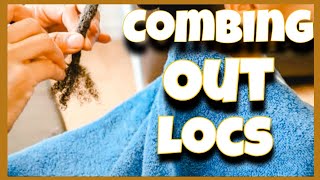 COMB OUT LOCS IN 20 MINUTES WITHOUT CUTTING YOUR HAIR LOC TUTORIAL [upl. by Zeitler417]