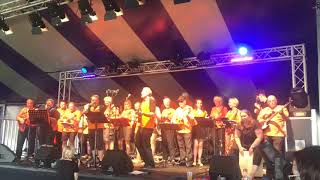 The Small Strings  Stand and Deliver Adam and the Ants cover at Readipop Festival 2019 [upl. by Ahsimek]