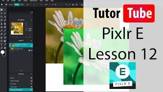 Pixlr E Tutorial  Lesson 12  Undo Redo Cut Copy Clear and Paste [upl. by Nylirehc30]