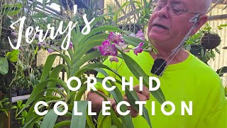 Jerrys Orchid Collection How he sterilizes his clippers ORCHID MOVING SALE [upl. by Enamart]