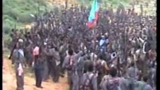 Ogaden National Anthem [upl. by Hanforrd]