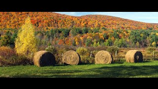 Berkshire County MA  Real Estate Community Profile [upl. by Venuti392]