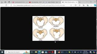 RAFIULLAH ABDOMEN AND PELVIS ANATOMY PART 2 rapid review by Dr QANDEEL [upl. by Mobley263]