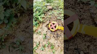 💥 What’s Buried Here Metal Detector Finds Shocking Treasure findings shorts [upl. by Leirad477]