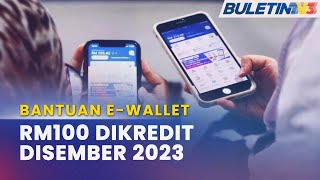 EKONOMI MADANI  Bantuan EWallet RM100 Disalurkan Disember Ini  Steven Sim [upl. by Artep734]