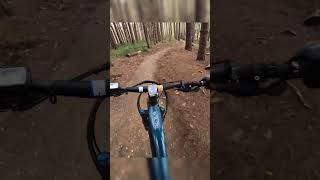 Down hill Ebiking through the woods [upl. by Derwin559]