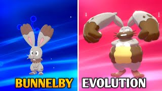 Bunnelby Evolution In Pokemon Sword amp Shield  Galar Pokedex [upl. by Neirod]