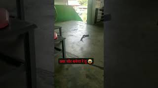 Kya Chor Bane Ga Re Tu🤣😂shorts funny trending carryminati [upl. by Netsrak]