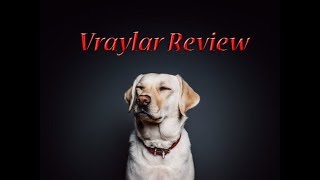 My Vraylar Experience [upl. by Aitropal]