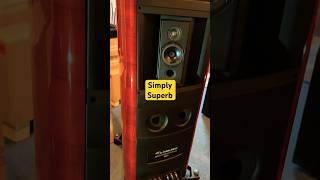 Sonus Faber SE17  Simply Outstanding loudspeaker music highendaudio [upl. by Tisha]