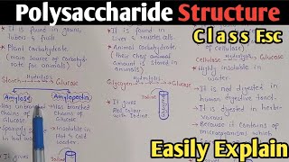 Polysaccharide Structure And Classification  Starch  Glycogen  Cellulose  Class 11 UrduHindi [upl. by Adnuahsor]