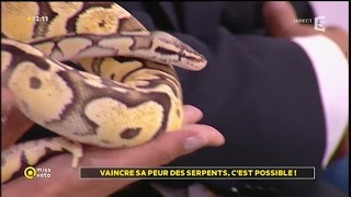 Vaincre sa peur des serpents cest possible [upl. by Staten]