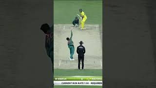 Australia All Fall of Wickets Against Pakistan PAKvAUS SportsCentral Shorts PCB M7C2K [upl. by Yeltrab]