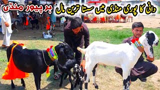 Sasta Mall Dani Ka Today Haripur Mandi Latest Update 18 July 2024 [upl. by Wilber]