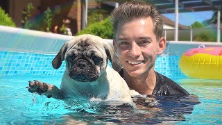 Die HUNDE WELPEN lernen SCHWIMMEN  Welpen Vlog 4 [upl. by Meekahs]