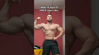 14 Years Of Natural Bodybuilding Gains 🔥💯 shorts naturalbodybuilding [upl. by Cattima]